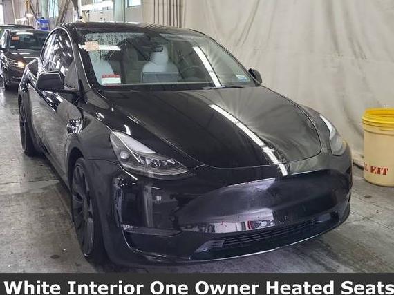 TESLA MODEL Y 2023 7SAYGDEFXPF895451 image